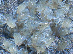 DSCN0415.jpg