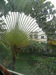 RIMG0034.jpg