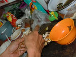 DSCN1319.jpg