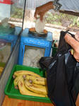 DSCN1325.jpg
