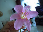 DSCN1361.jpg