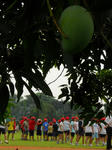 DSCN1920.jpg