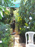 DSCN1820.jpg