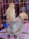 DSCN1824.jpg