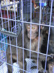 DSCN1825.jpg