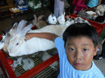 DSCN1827.jpg