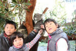 IMG_5990.JPG