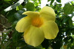 DSC03700.jpg
