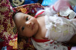 DSC03811.jpg
