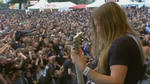carcass.jpg