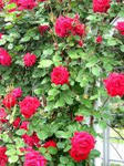 s_20080531225600_5.jpg
