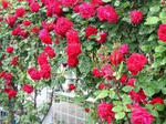 s_20080531225601_10.jpg