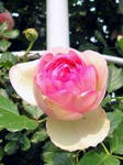s_20080602225927_9.jpg