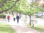 s_200806294050_3.jpg