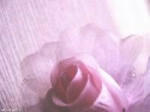 s_200806304041_3.jpg