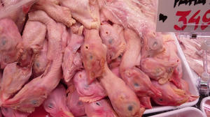 鶏頭