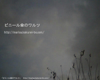 IMG_0012--.JPG