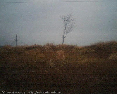 724899f3.JPG