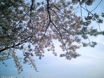 PHOT0008.JPG