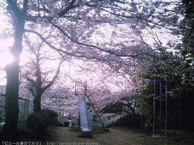 PHOT0009.JPG