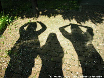 DSCN0011.JPG