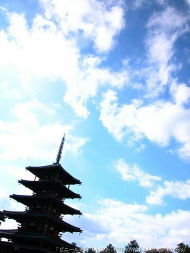 DSCN0521.JPG