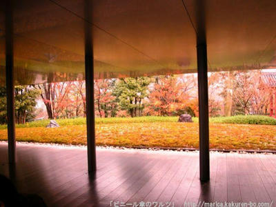DSCN0646.JPG