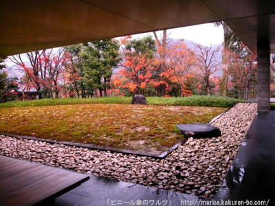 DSCN0649.JPG