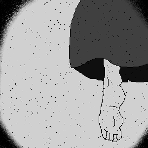 糸色　望先生の足。