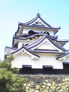 写メでぱちり。