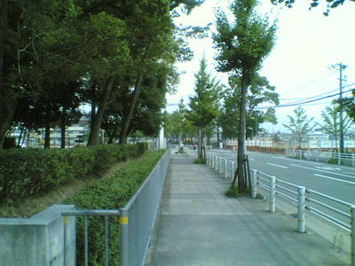 df206618.jpg