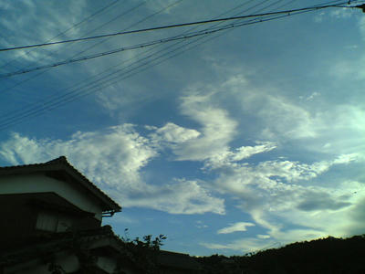 d5f63de6.jpg