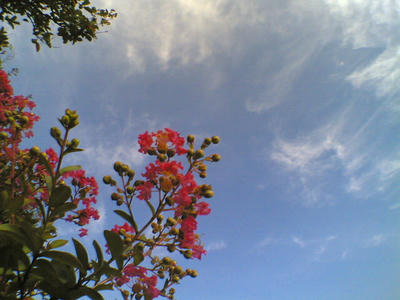 9a89320a.jpg