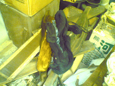 3975c8f3.jpg