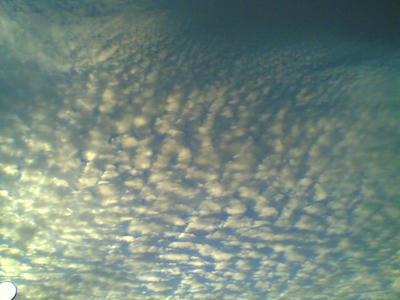 218349b9.jpg