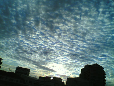 4243e37f.jpg