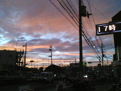 1759d823.jpg
