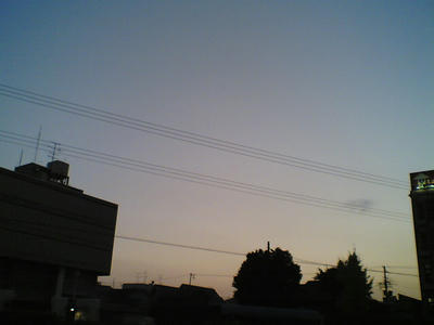 bfa74991.jpg