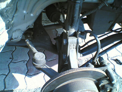 95bb7c0f.jpg