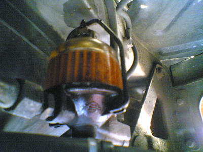 20081211.jpg