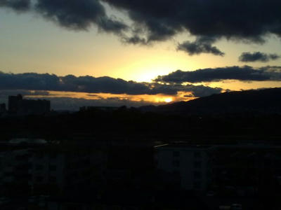 20090217681.jpg
