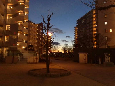 20090217682.jpg