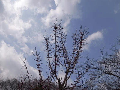 R0011219.jpg