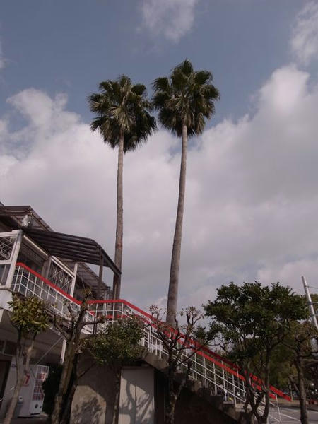 R0011277.jpg