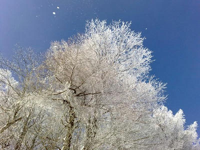 20090111244.jpg