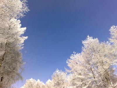 dc074e5f.jpg