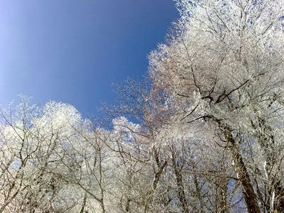 20090111246.jpg
