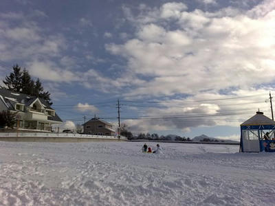20090111247.jpg
