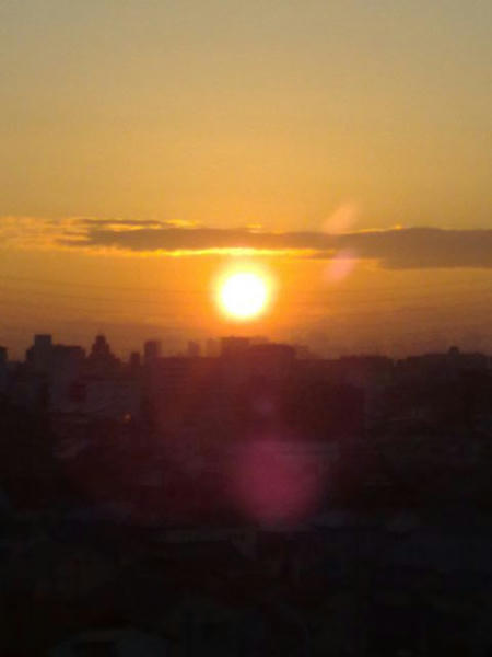 20090114305.jpg