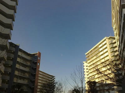 20090116311.jpg